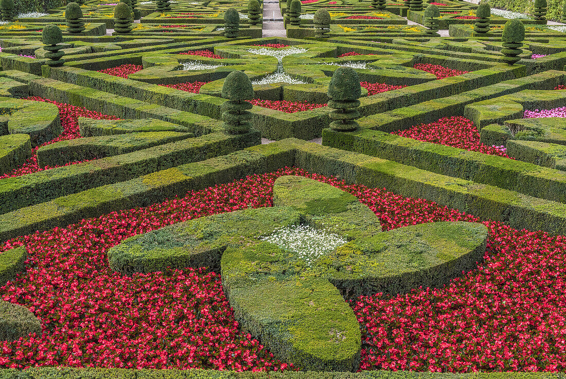 France, Centre-Val de Loire, Indre-et-Loire, view of the Gardens of Villandry, bed of trimmed boxwood and flowers