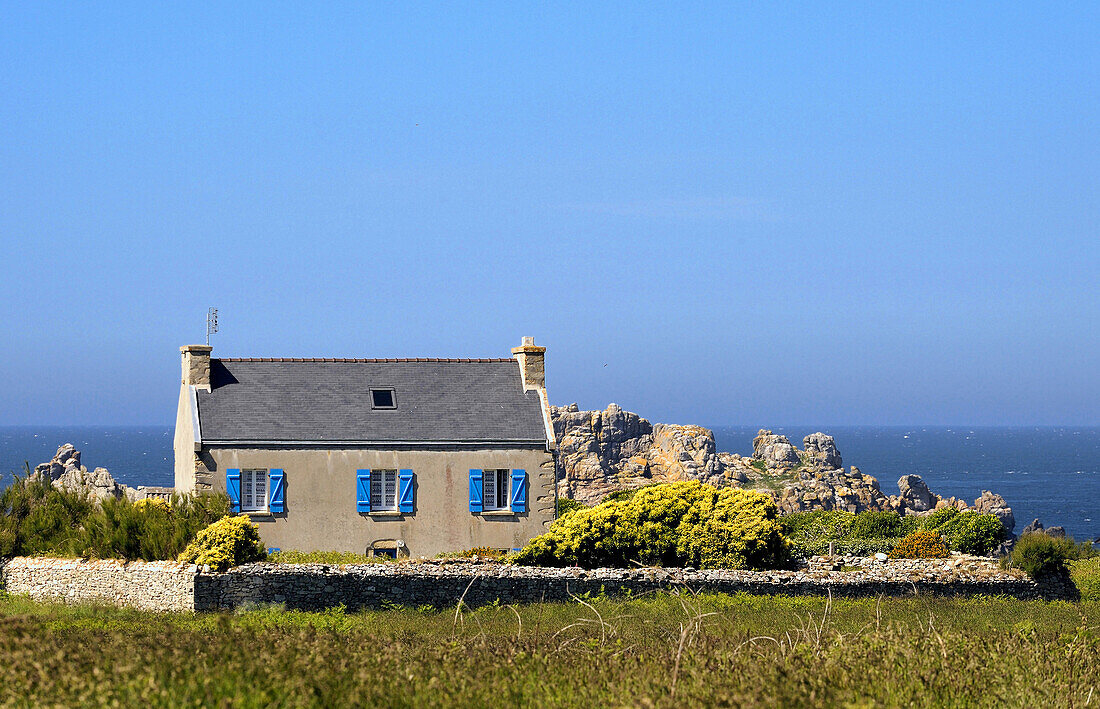 France, Brittany, Finistere, traditional Breton house between the heath and Ocean, Ouessant Island