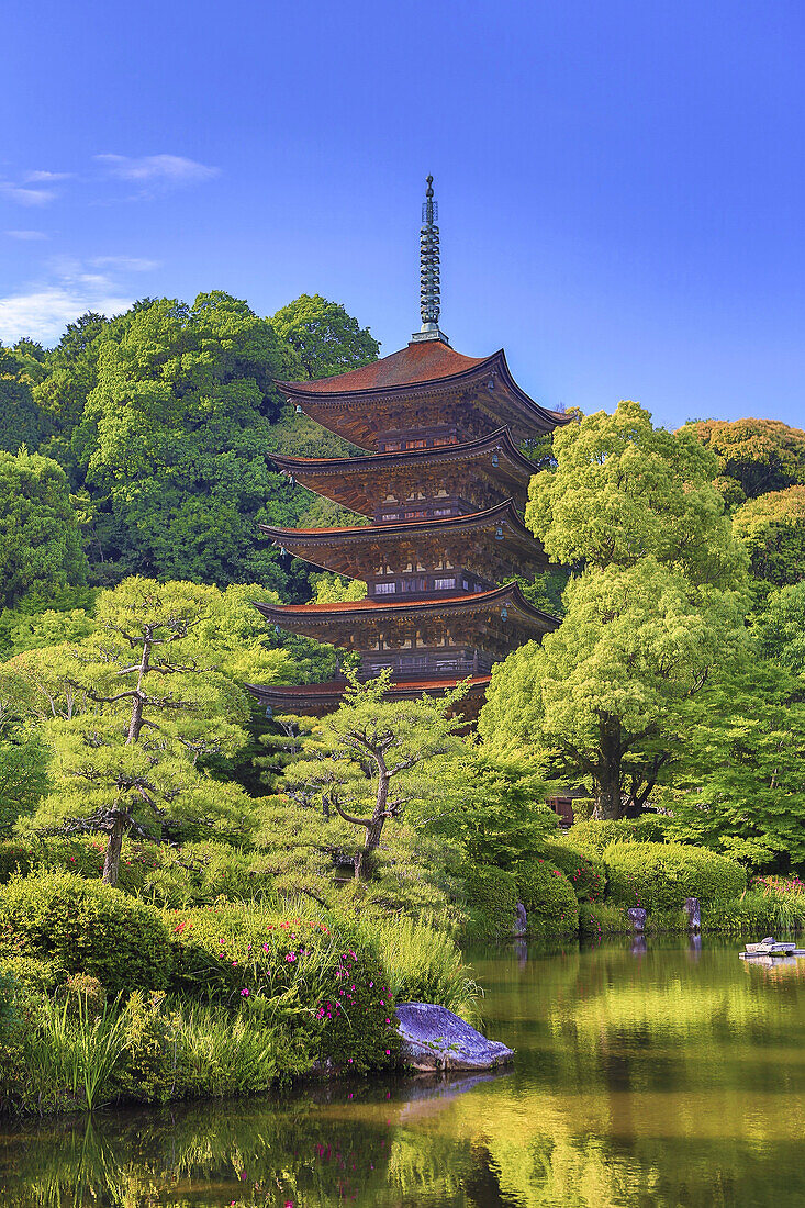 Japan, Yaamaguchi City, Kozan-Koen Park, Pagoda at Kuriku-Ji