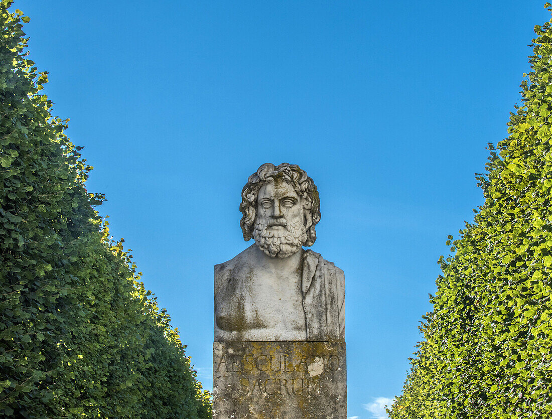France, Ile de France, Yvelines, Bust of Esculape, Park of the Chateau de Rambouillet