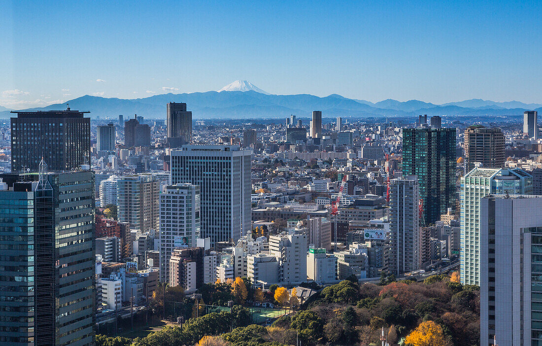 Japan, Tokyo City, Mount Fuji from Minato Ku