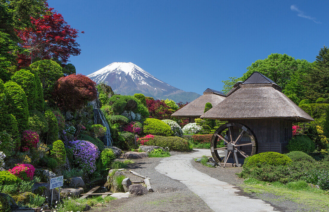 Yamanashi Province,Oshino Mura, Minami Tsuru District,Shibosuka, garden