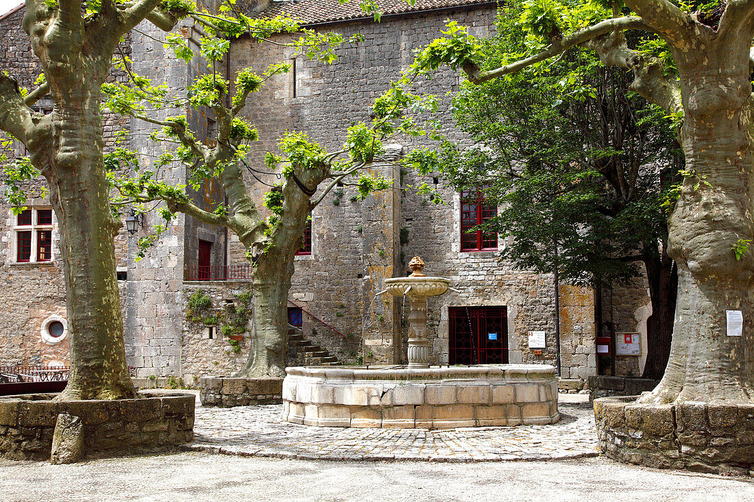 France, Occitanie, Aveyron department (12), Larzac country, Sainte Eulalie de Cernon (medieval village), UNESCO world heritage