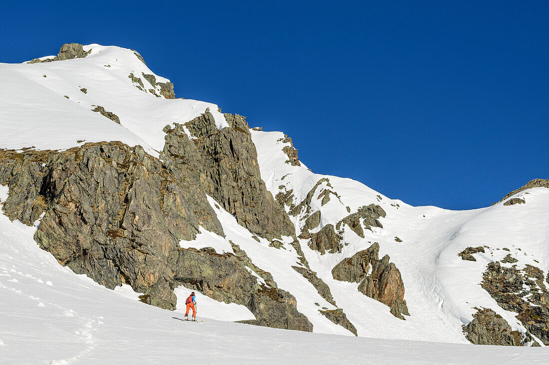 Woman backcountry-skiing ascending towards Steintalspitze, Steintalspitze, Sellrain, Stubai Alps, Tyrol, Austria