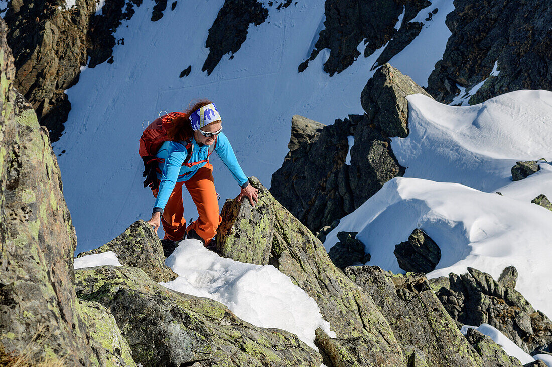 Woman backcountry-skiing climbing rock-ridge, Steintalspitze, Sellrain, Stubai Alps, Tyrol, Austria