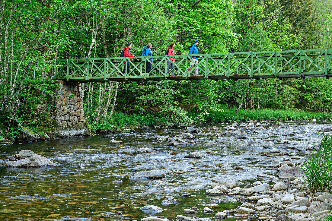 Four persons walking over a bridge over Alb, Albsteig, Black Forest, Baden-Wuerttemberg, Germany