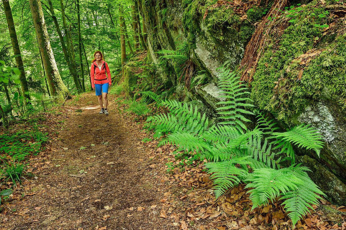 Frau beim Wandern geht durch Wald, Albsteig, Schwarzwald, Baden-Württemberg, Deutschland