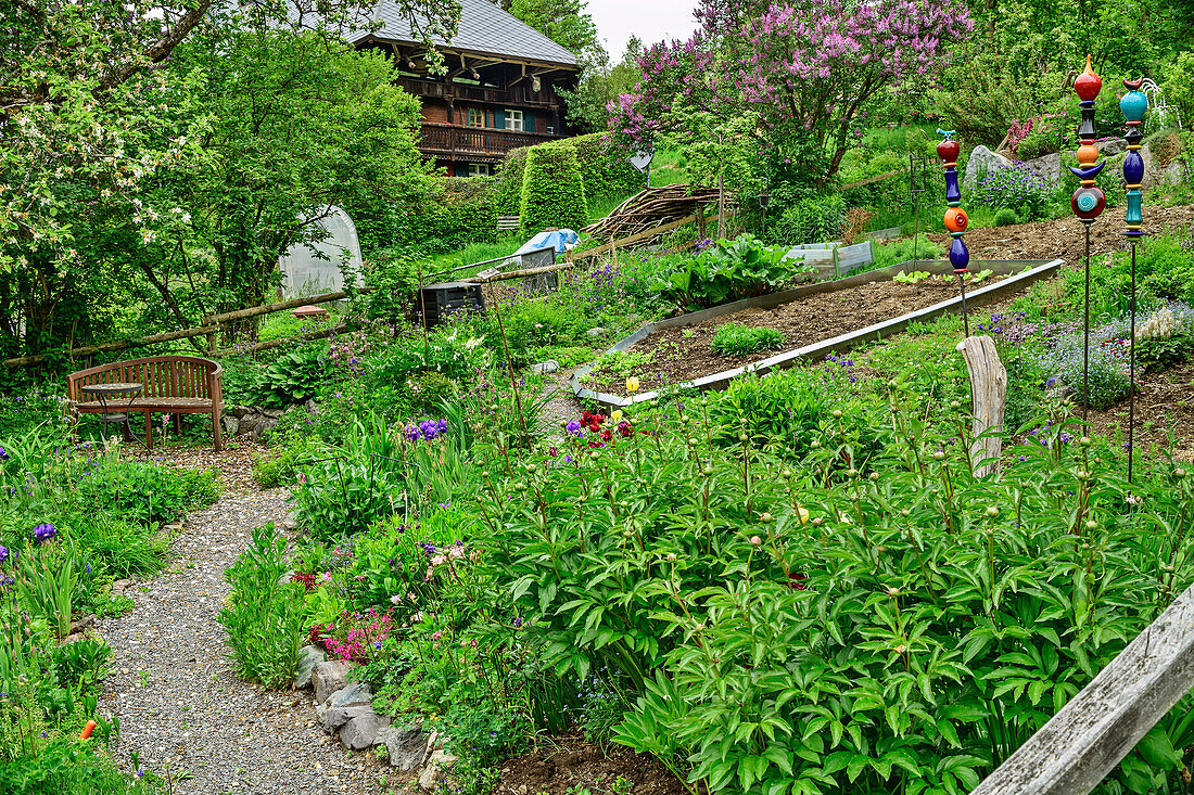 Weg führt durch Bauerngarten, Schwarzwaldhaus im Hintergrund, Bernau-Dorf, Albsteig, Schwarzwald, Baden-Württemberg, Deutschland