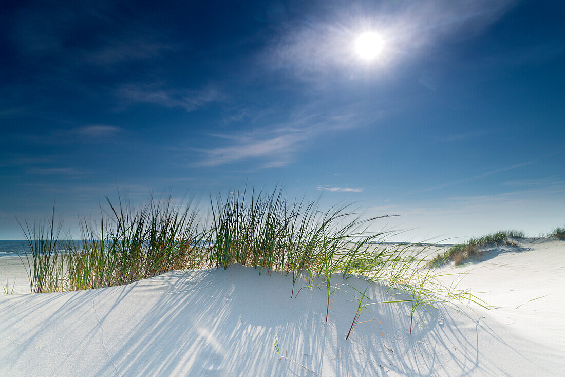 Sand Dune, Sky, Sun, Spiekeroog, North Sea, East Frisian Islands, East Frisia, Lower Saxony, Germany, Europe