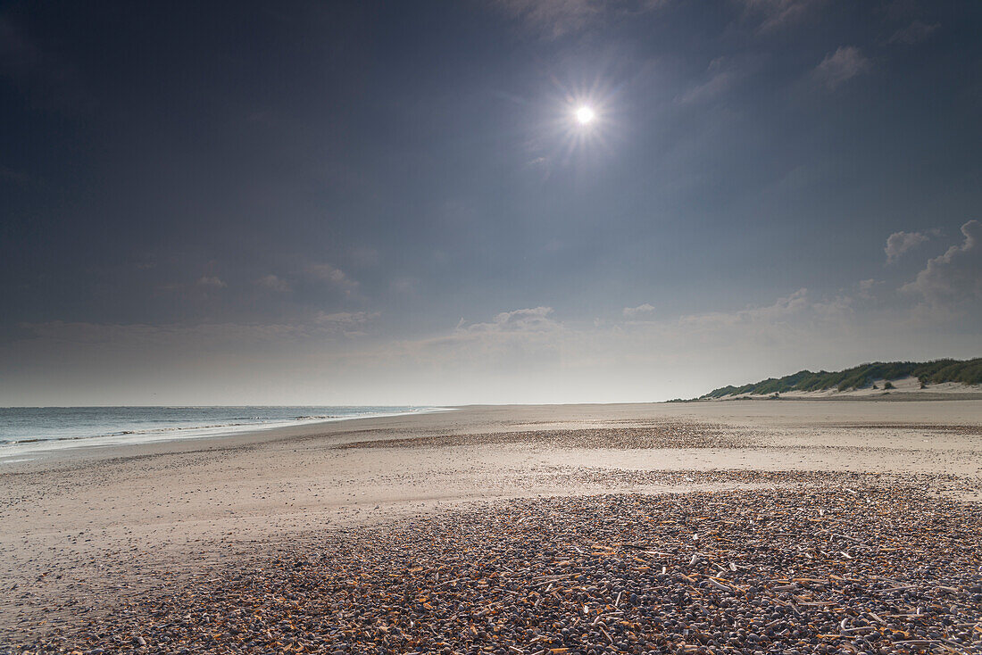 Beach, Sun, Seashell, Morning, Baltrum, North Sea, East Frisian Islands, East Frisia, Lower Saxony, Germany, Europe