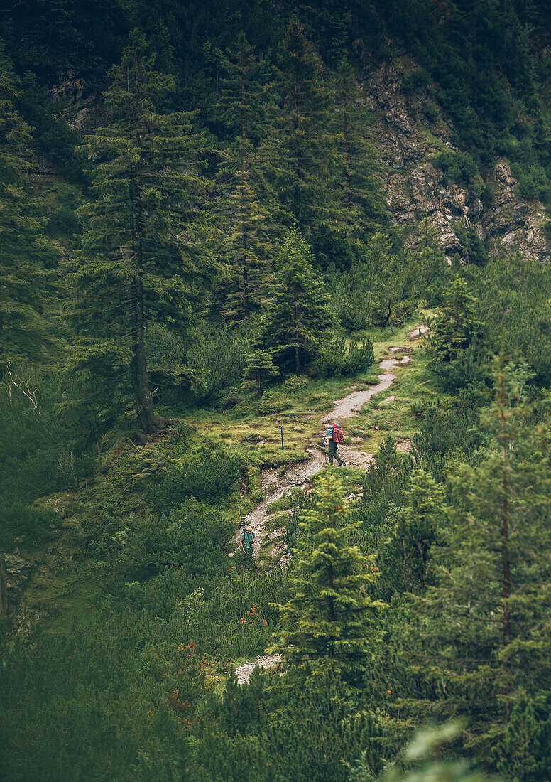 Bergsteiger im Wald, E5, Alpenüberquerung, 2. Etappe, Lechtal, Holzgau, Tirol, Österreich, Kemptner Hütte zur Memminger Hütte