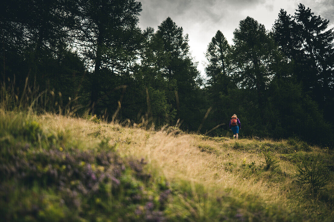 Wanderin on the ascent, E5, Alpenüberquerung, 4th stage, Skihütte Zams,Pitztal,Lacheralm, Wenns, Gletscherstube, Zams to  Braunschweiger Hütte, tyrol, austria, Alps