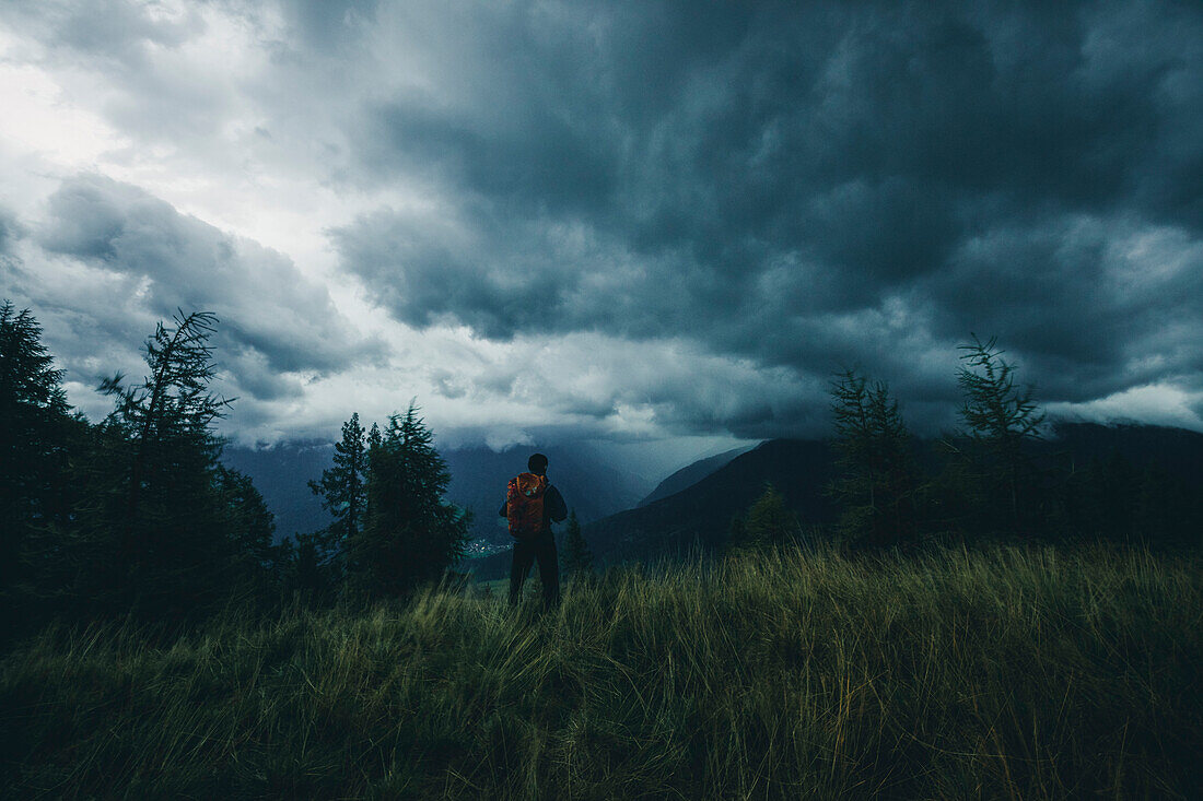 Climber on change of weather at a forest edge with mountain panorama, E5, Alpenüberquerung, 4th stage, Skihütte Zams,Pitztal,Lacheralm, Wenns, Gletscherstube, Zams to  Braunschweiger Hütte, tyrol, austria, Alps