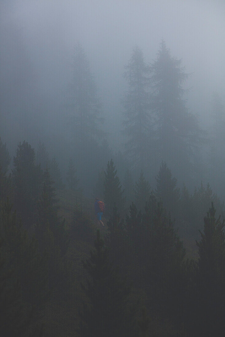 Climber in the misty forest, E5, Alpenüberquerung, 4th stage, Skihütte Zams,Pitztal,Lacheralm, Wenns, Gletscherstube, Zams to  Braunschweiger Hütte, tyrol, austria, Alps
