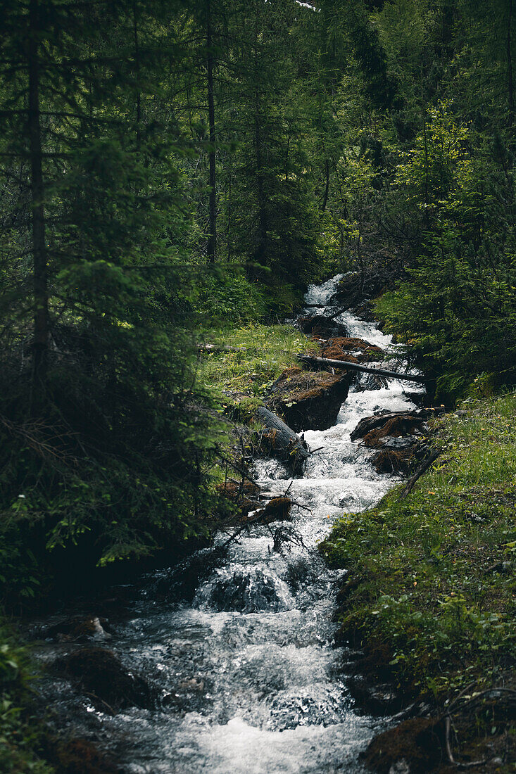 Lochbach fließt durch Wald,E5, Alpenüberquerung, 3. Etappe, Seescharte, Inntal, Tirol, Österreich, Memminger Hütte zur Unterloch Alm