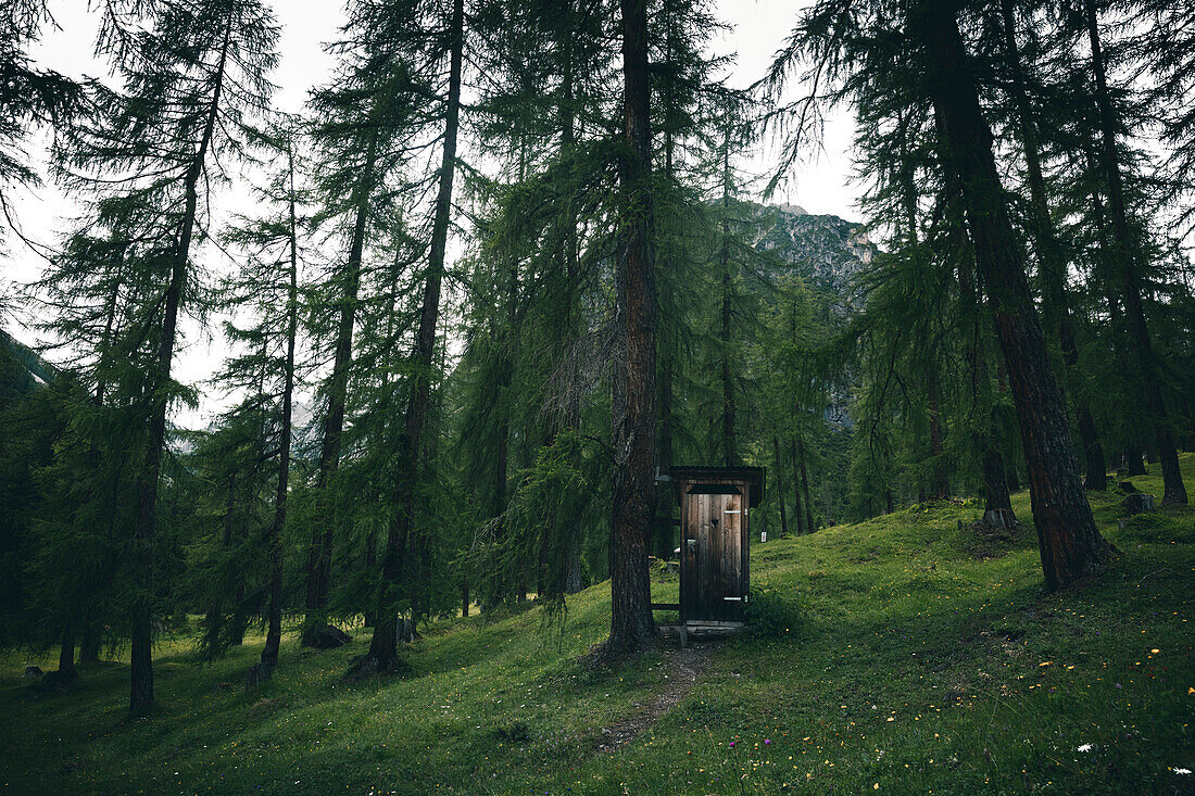 Bergtoilette im Wald,E5, Alpenüberquerung, 3. Etappe, Seescharte, Inntal, Tirol, Österreich, Memminger Hütte zur Unterloch Alm