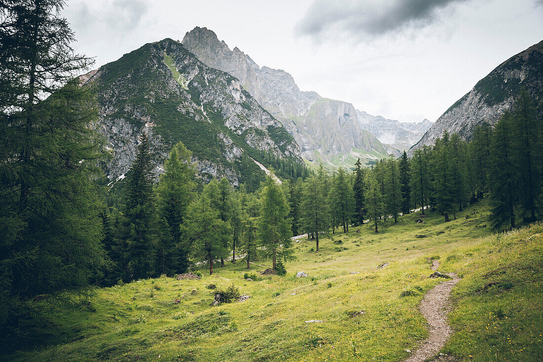 Long distance hiking path through mountain valley, E5, Alpenüberquerung, 3rd stage, Seescharte,Inntal, Memminger Hütte to  Unterloch Alm, tyrol, austria, Alps