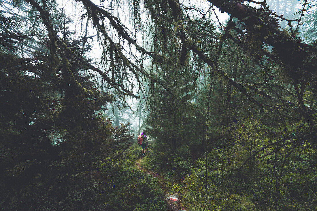 Wegweiser Markierung im nebligem Wald mit Bergsteigerin im Hintergrund, E5, Alpenüberquerung, 4. Etappe, Skihütte Zams, Pitztal, Lacheralm, Wenns, Gletscherstube,  Österreich, Zams zur Braunschweiger Hütte