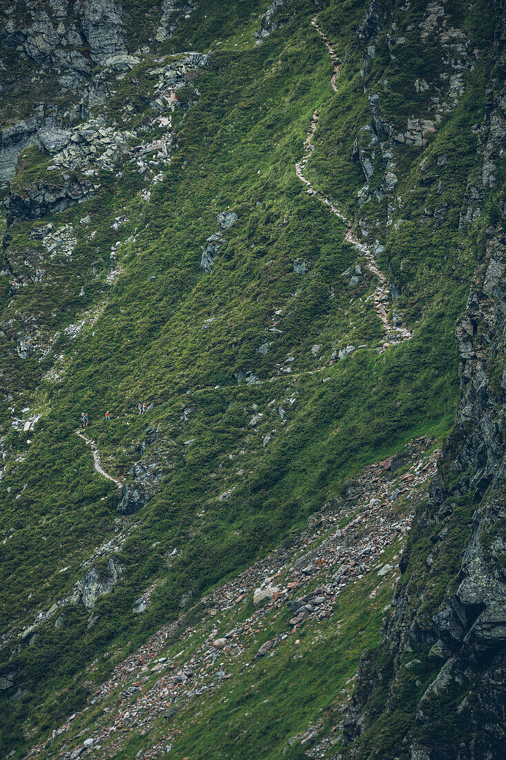 Hiking group on the ascent on long-distance hiking path, E5, Alpenüberquerung, 4th stage, Skihütte Zams,Pitztal,Lacheralm, Wenns, Gletscherstube, Zams to  Braunschweiger Hütte, tyrol, austria, Alps