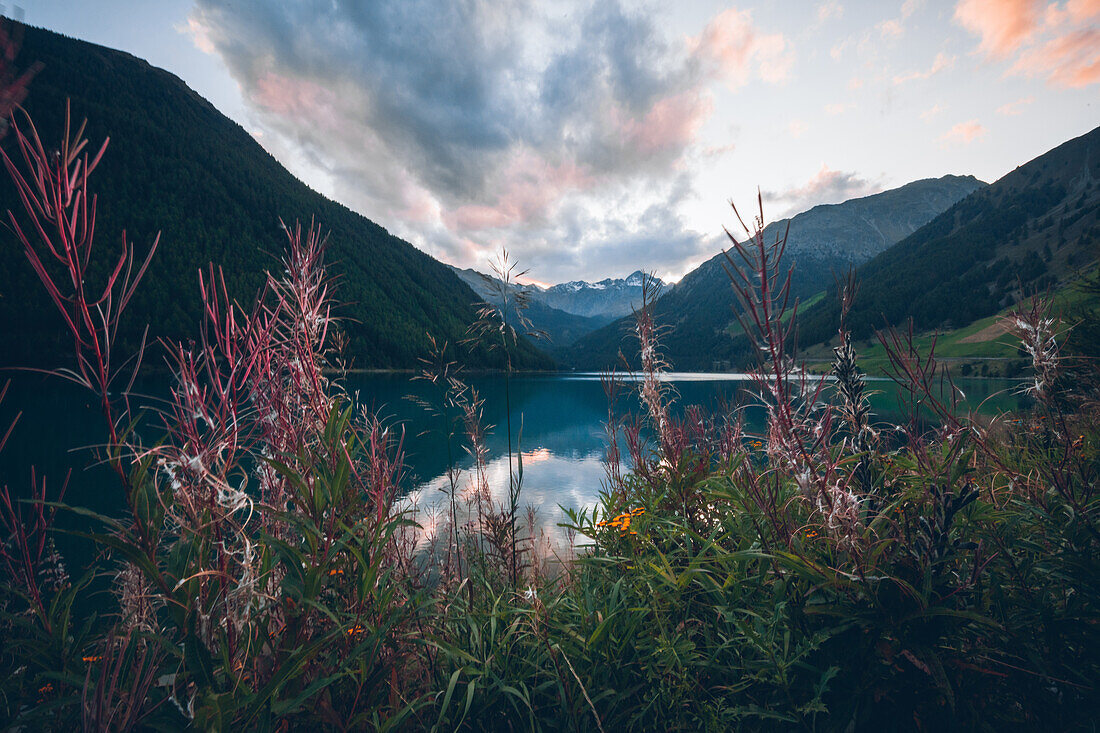 Vernagt Stausee im Abendrot mit Blumen im Vordergrund,E5, Alpenüberquerung, 6. Etappe,Vent, Niederjochbach,Similaun Hütte, Schnalstal,   Vernagt Stausee,Meran