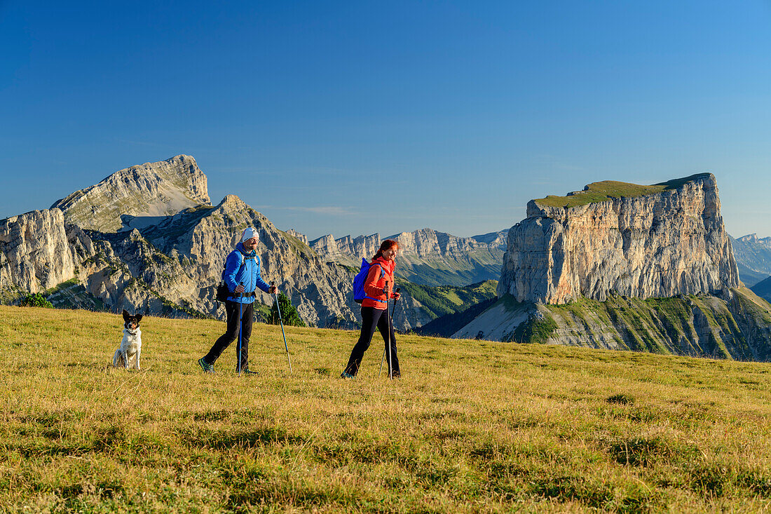 A man and a woman with dog walking on meadow with Grand Veymont and Mont Aiguille in the background, from the Tête Chevalier, Vercors, Dauphine, Dauphine, Isère, France