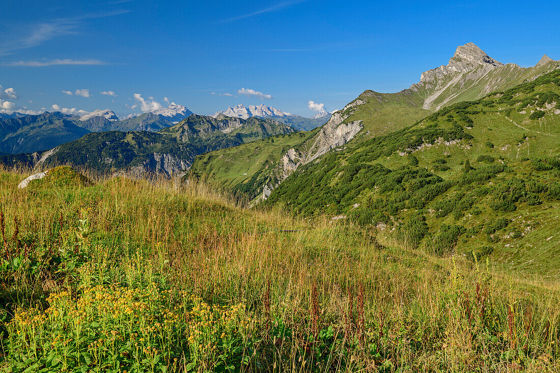 Views of the Lechtal Alps and roggel head, Freiburg, Lech Lodge, lechweg source mountains, Vorarlberg, Austria