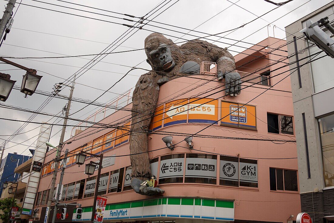 A giant gorilla holding a school girl in its hand is seen over the side of a building of Sangenjaya area on May 30, 2018, Tokyo, Japan. The 'Gorilla Building' (as known) displays a colossal statue figure of a gorilla, on top of a commercial building, keep