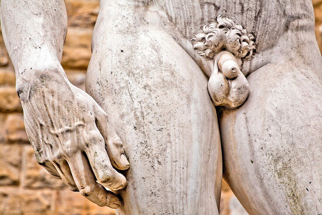 Detail of the penis and hand, Copy of Michelangelo's David statue, Palazzo Vecchio, Old Palace, Piazza della Signoria square, Florence, Tuscany, Italy, Europe.