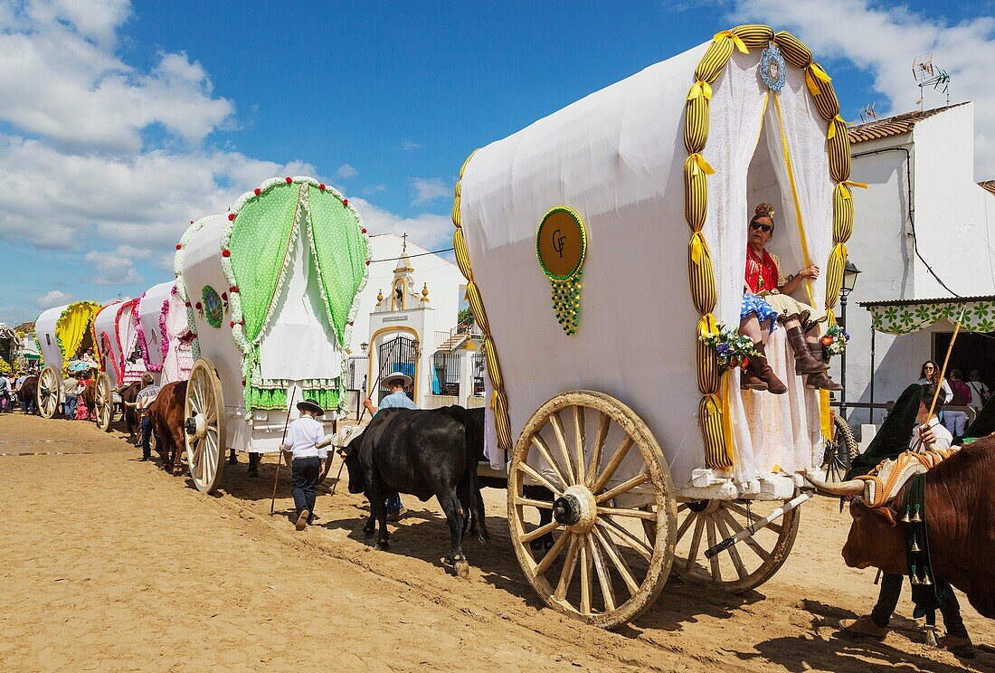 During a famous Pentecost pilgrimage the village of El Rocio converts into a colourful spectacle with beautifully decorated ox-carts, dressed up men and women wearing beautifully coloured gypsy dresses. Huelva province, Andalusia, Spain.