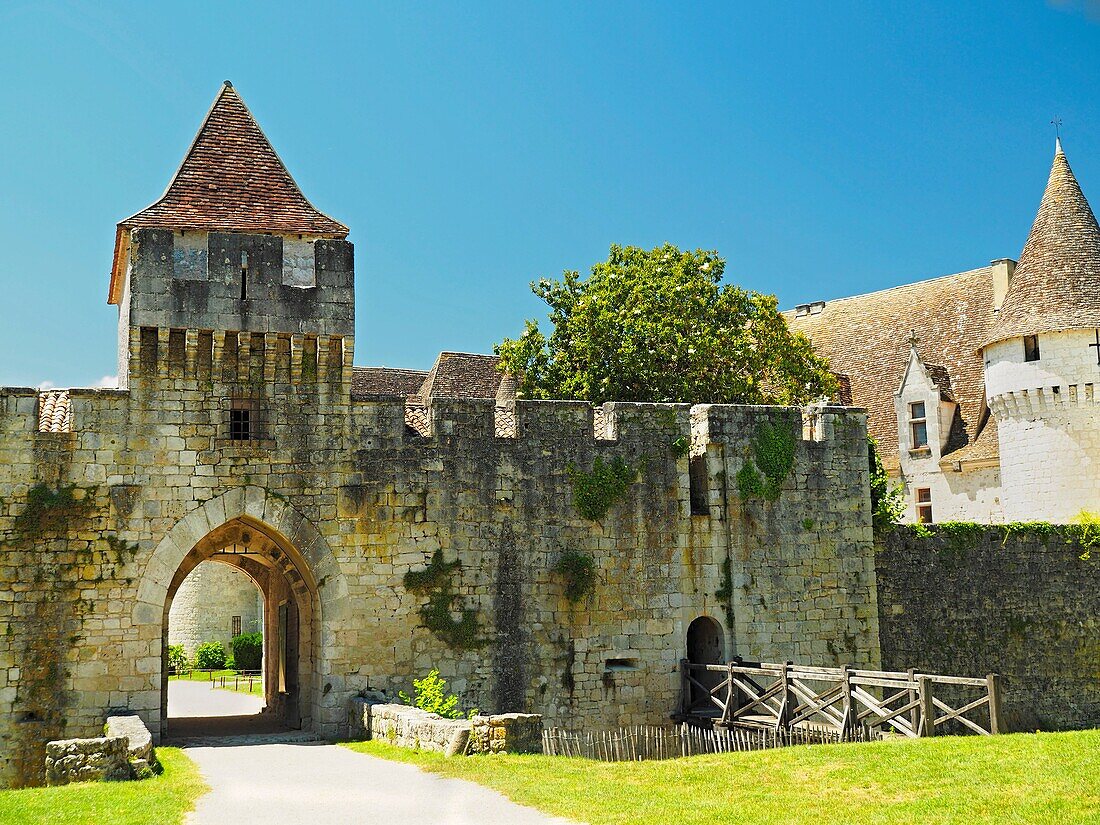Chateau Bridoire, Dordogne Department, Nouvelle-Aquitaine, France.