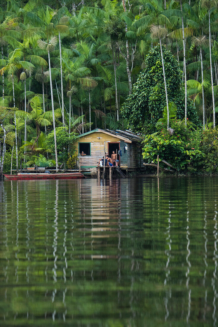 Residents of a wooden house on stilts surrounded by palm trees await visitors from an expedition cruise ship, Amazon River tributary, Pucurui River, Para, Brazil, South America