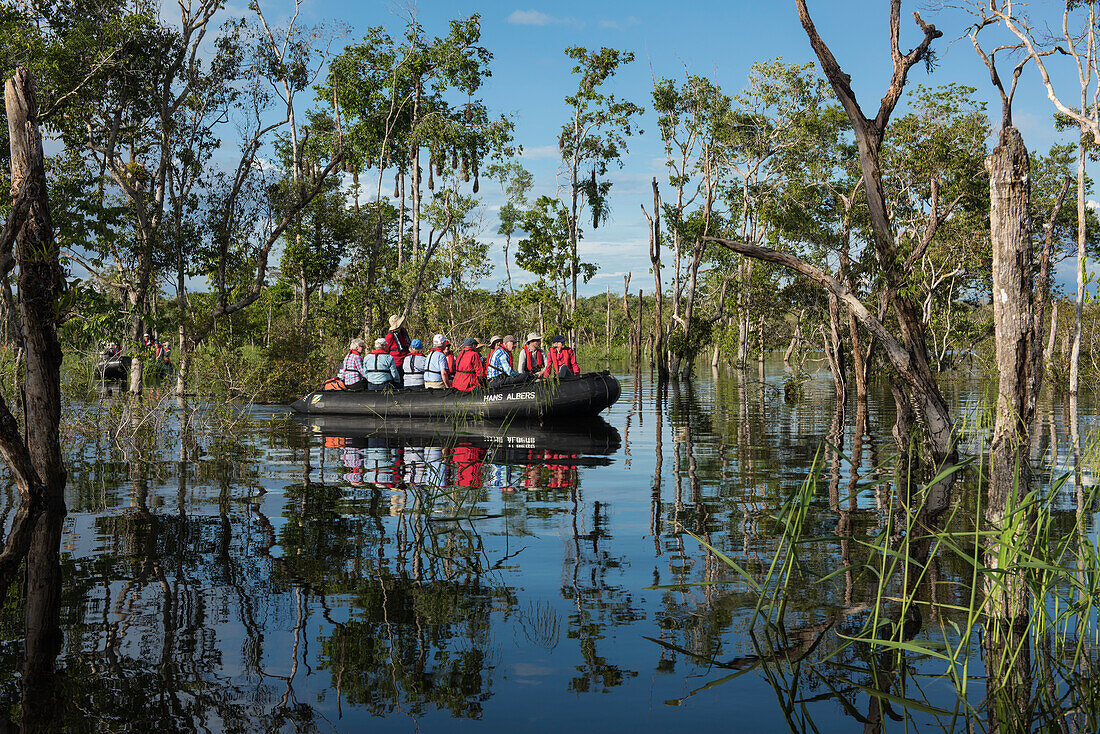 Passagiere in einem Zodiac-Schlauchboot vom Expeditions-Kreuzfahrtschiff MS Hanseatic (Hapag-Lloyd Kreuzfahrten) erkunden ein überflutetes Gebiet entlang des Amazonas, Jutai, Amazonas, Brasilien, Südamerika