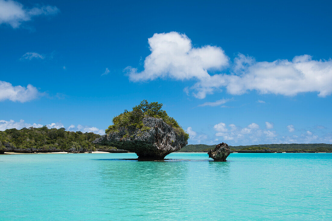 Zwei mit Gebüsch bedeckte Steinformationen stehen wie Pilze allein im türkisfarbenen Wasser, Fulaga Island, Lau Group, Fidschi, Südpazifik