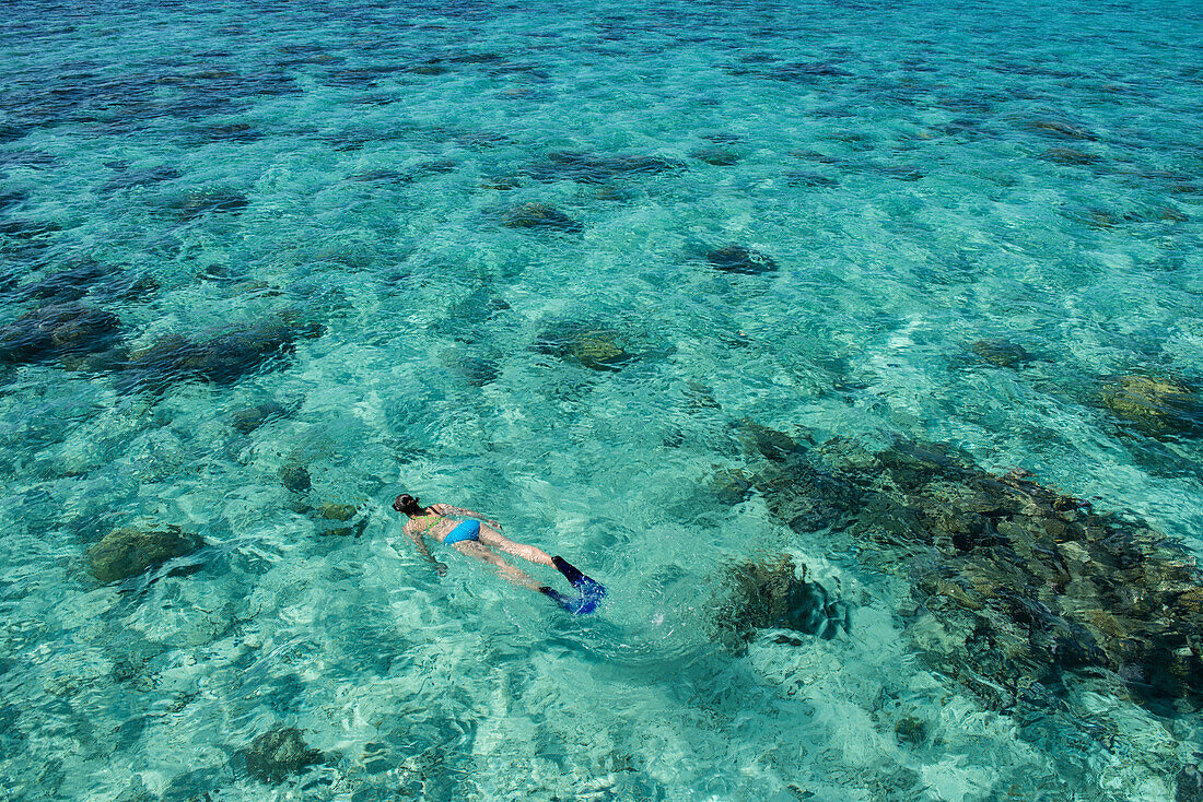 Eine Frau in einem blauen Bikini und Schwimmflossen schnorchelt auf der Wasseroberfläche der Lagune über dunkle Korallen, Bora Bora, Gesellschaftsinseln, Französisch-Polynesien, Südpazifik