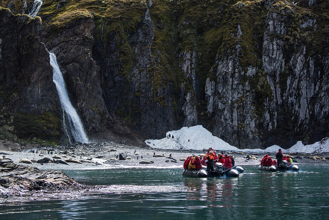 Passagiere eines Expeditions-Kreuzfahrtschiffes in einem Zodiac Schlauchboot nähern sich einem Strand mit einem prominenten Wasserfall, Pinguinen, Antarktische Seebären (Arctocephalus gazella) und Südliche See-Elefanten (Mirounga leonina), Herkules Bay, S