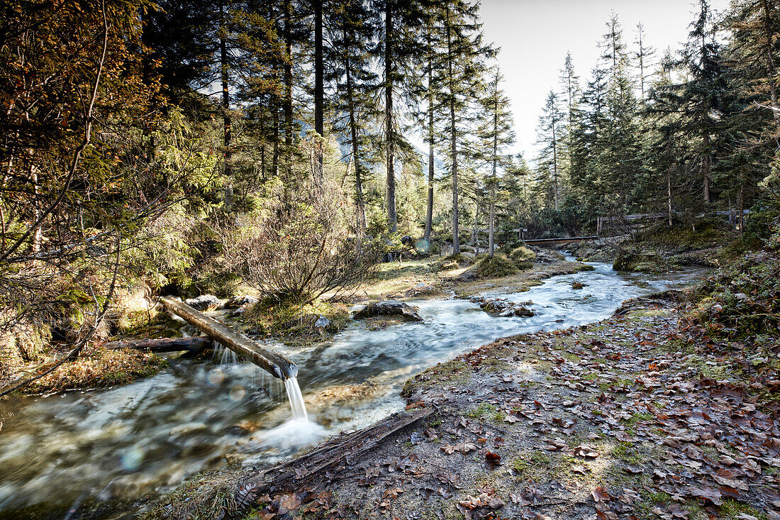 spring River Isar, river Isar, hinterau valley, Karwendel mountains, Tyrol, Austria