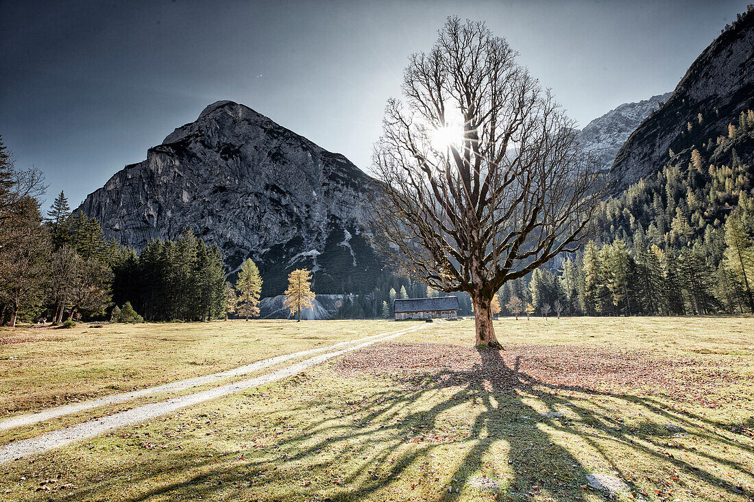 Kastenalm, Hinterau Valley, Hinterau valley, Karwendel mountains, hinterau valley, Tyrol, Austria