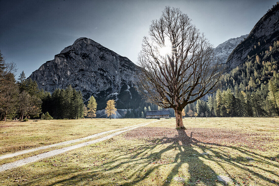 Kastenalm, Hinterautal, Hinterautal, Karwendel Isar, Titol, Österreich