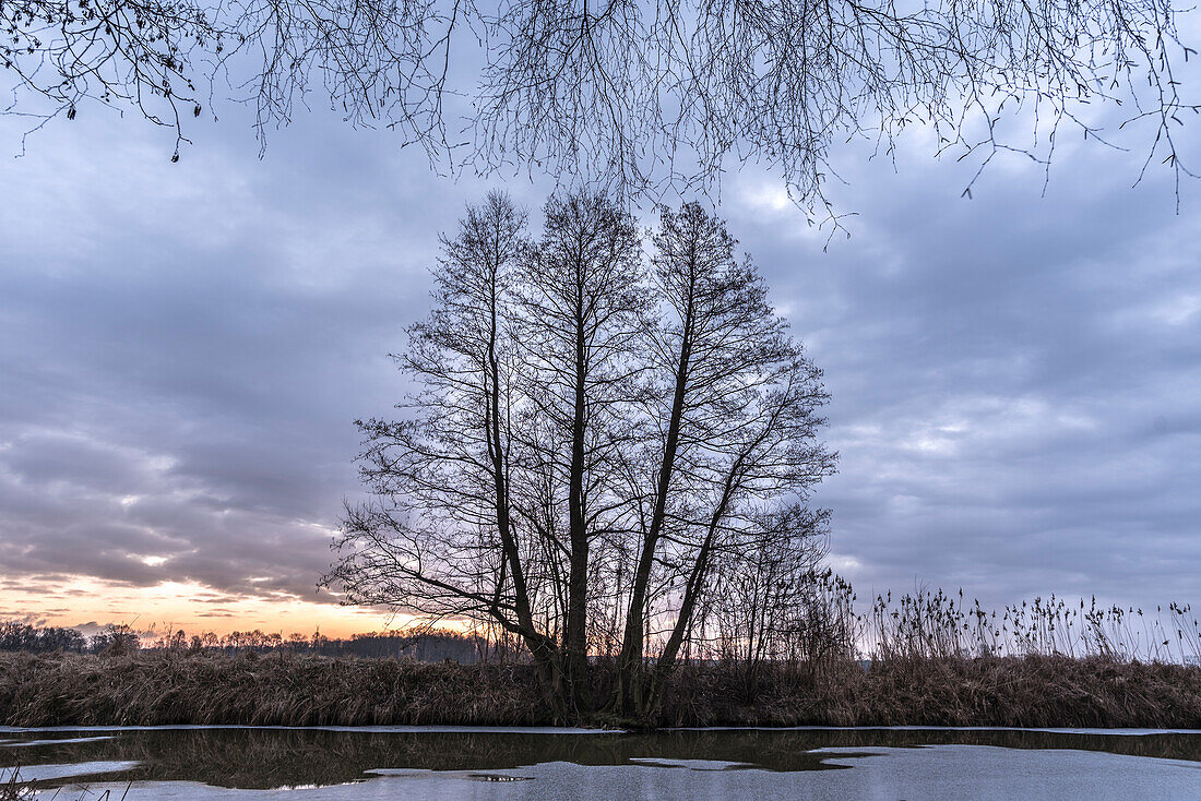 Flusslandschaft zur Winterzeit im Spreewald während es Sonnenaufganges