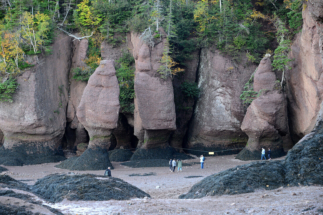bei den Hopewell Rocks bei Moncton, New Brunswick, Kanada Ost
