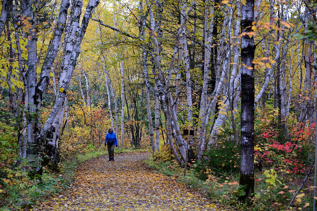 im Parc du Saguenay, Quebec, Ost Kanada