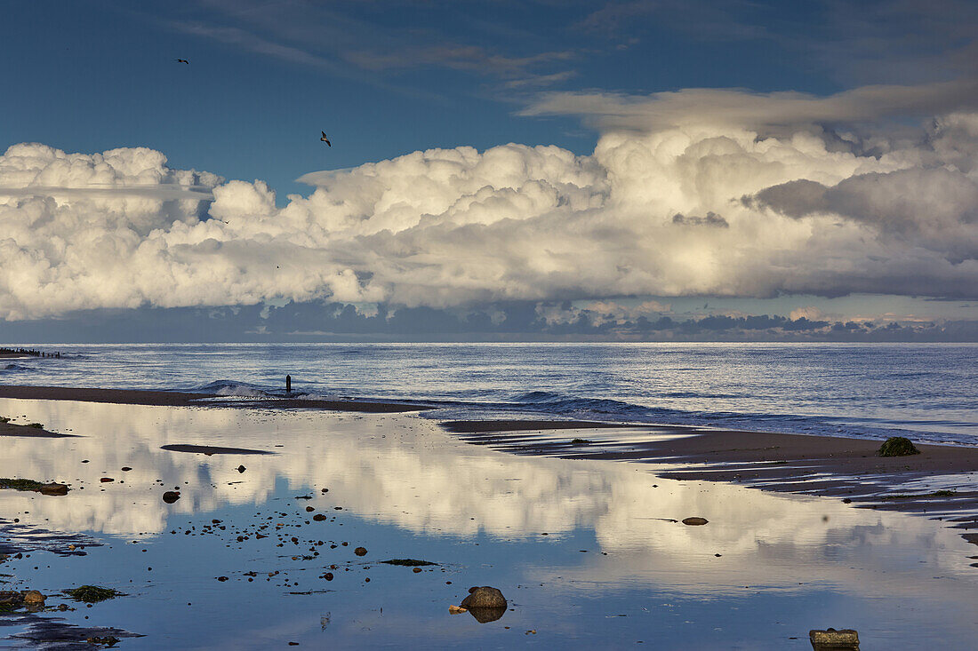 Ostseeküste bei Kühlungsborn; Mecklenburg-Vorpommern; Deutschland