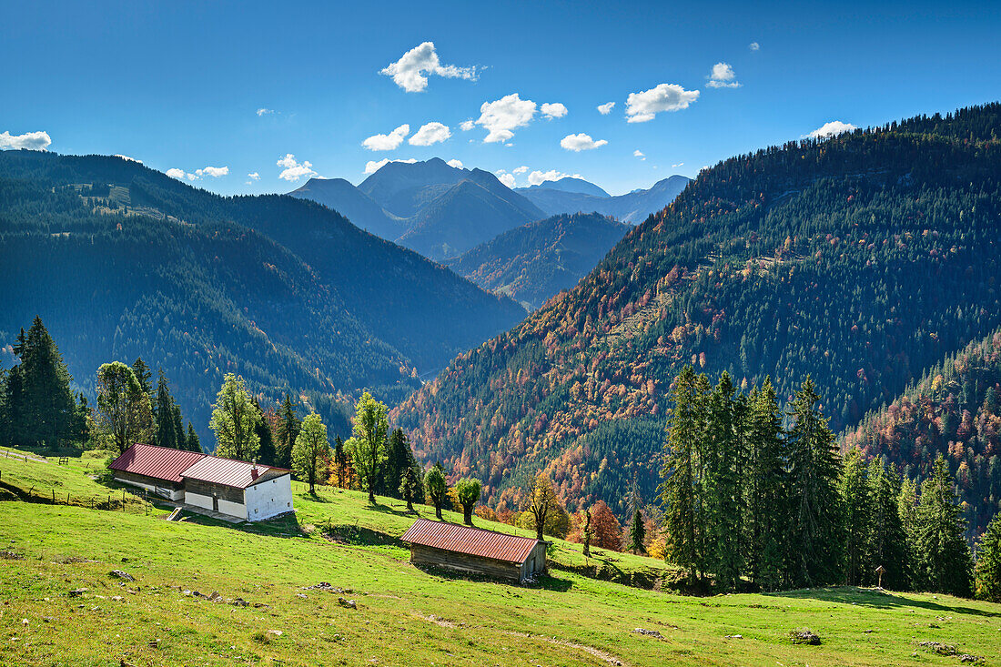 Almen am Demeljoch mit Blick ins Karwendel, Demeljoch, Karwendel, Oberbayern, Bayern, Deutschland