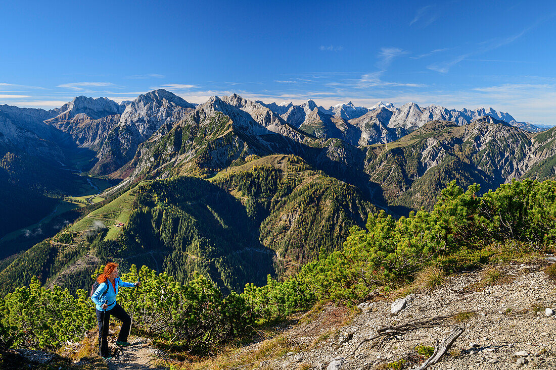 Woman hiking ascending towards Seebergspitze, Karwendel in background, Seebergspitze, Karwendel range, Tyrol, Austria