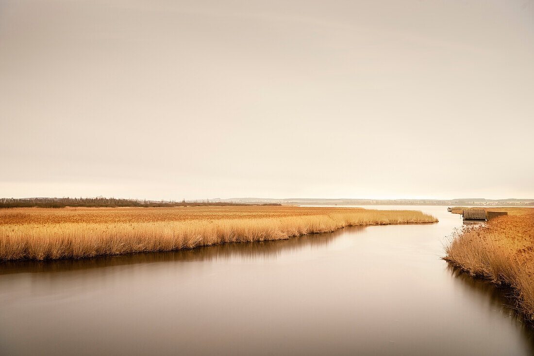 Moorgebiet Federsee, Bad Buchau, Landkreis Biberach, Oberschwaben, Baden-Württemberg, Deutschland