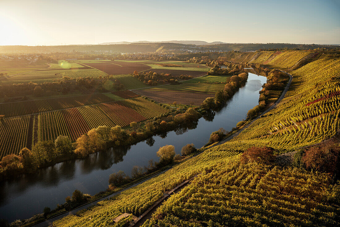 the Neckar river sneaks his way along climbing and wine growing region of Hessigheim, Ludwigsburg District, Baden-Wuerttemberg, Germany