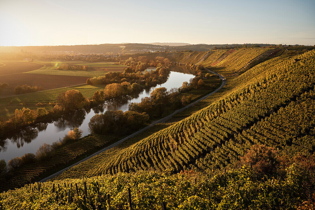 the Neckar river sneaks his way along climbing and wine growing region of Hessigheim, Ludwigsburg District, Baden-Wuerttemberg, Germany