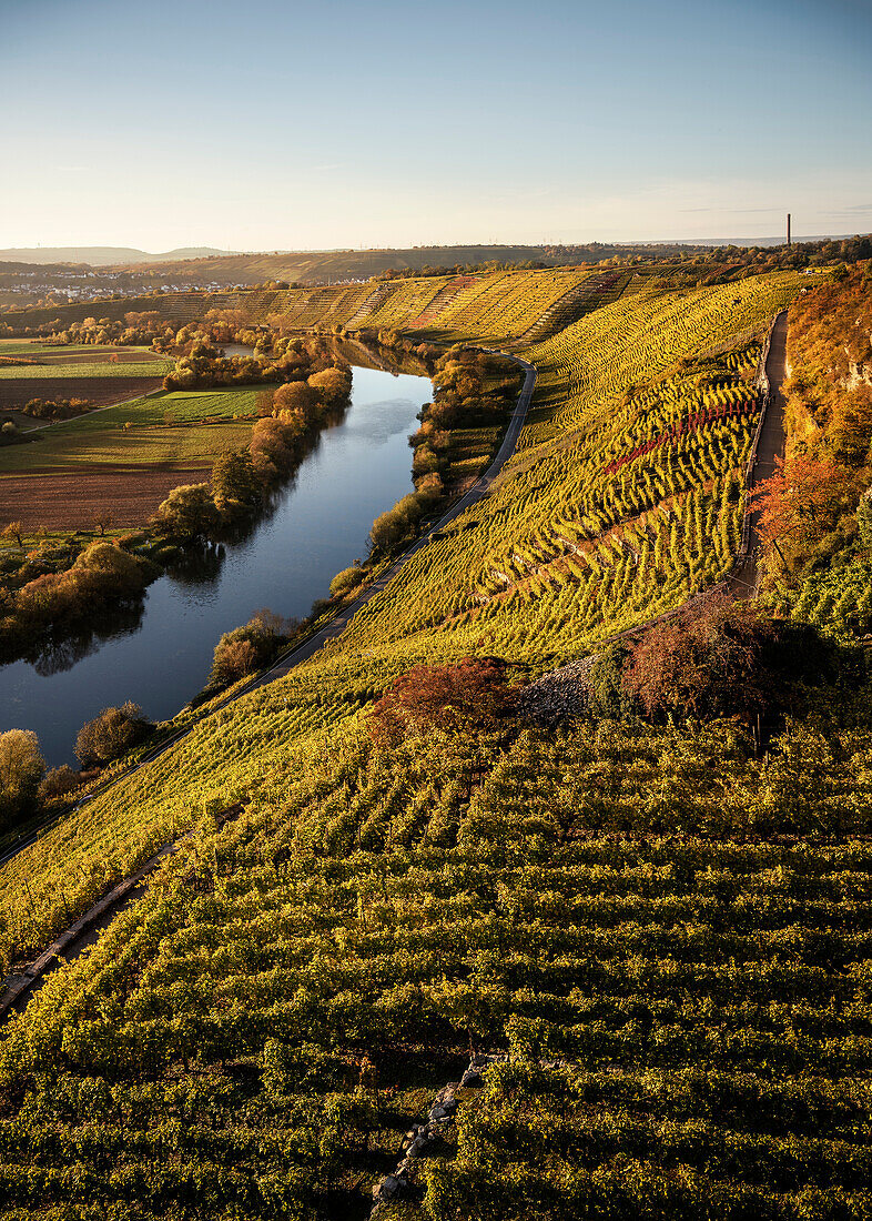 the Neckar river sneaks his way along climbing and wine growing region of Hessigheim, Ludwigsburg District, Baden-Wuerttemberg, Germany