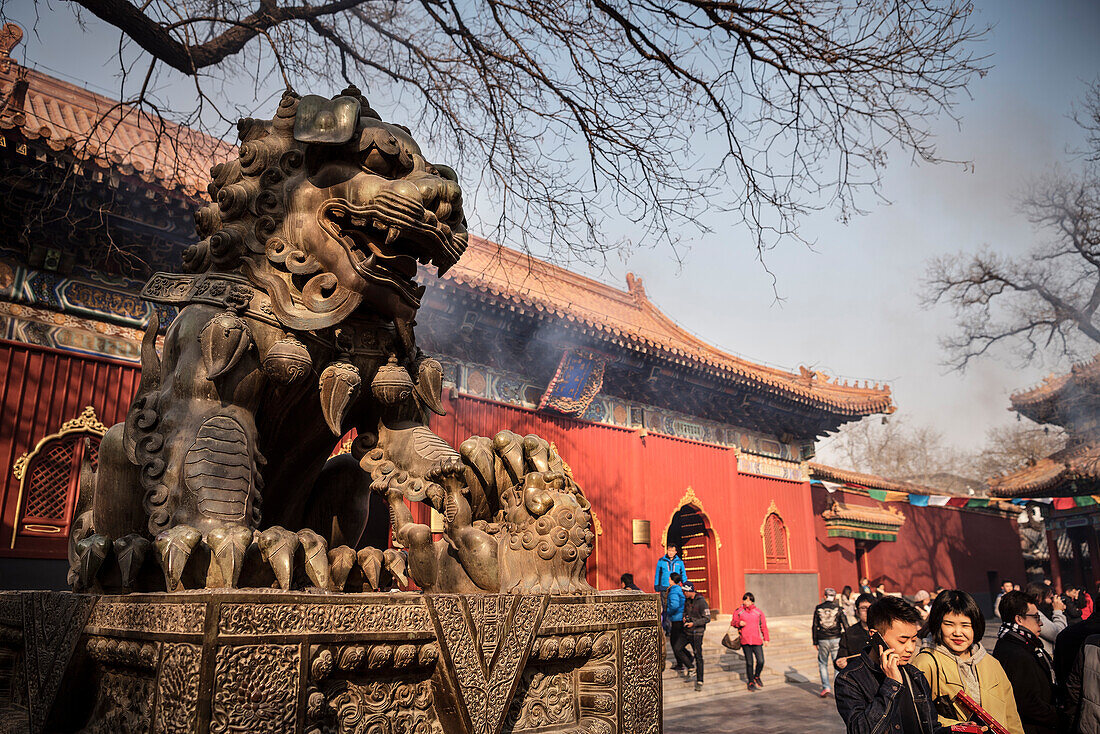 Löwen Bronze Skulptur am Eingang zum Yonghe Tempel (auch bekannt als Lamatempel), Peking, China, Asien