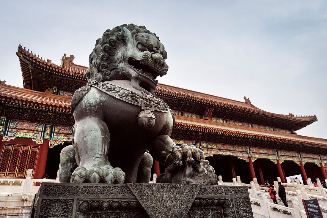 tLion statue in front of Palace Museum, he Forbidden City, Beijing, China, Asia, UNESCO World Heritage